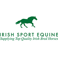 Irish Sport Equine