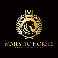 Majestic Horses