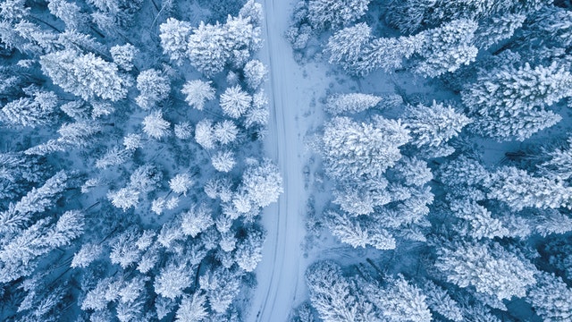 pexels ruvim miksanskiy 1438761