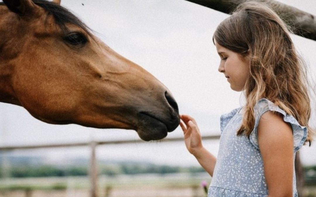 ¿Cuánto cuesta un caballo?