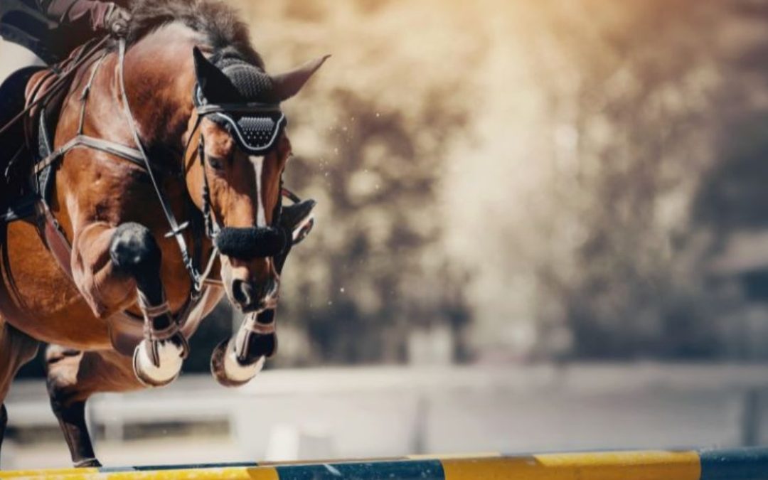 Nombres de caballos famosos