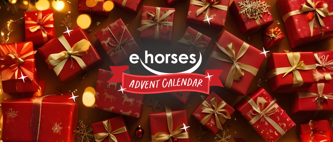 202505_digitaler_Adventskalender_ehorses_Header (1170 x 500 px) ehorses advent calendar